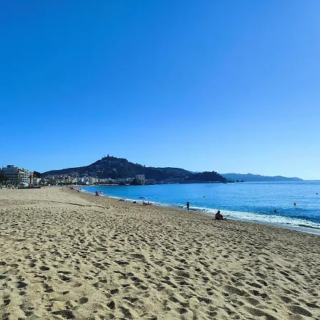 Lägenhet Beachfront ✓wifi ✓pool ✓sup ✓home Office Blanes